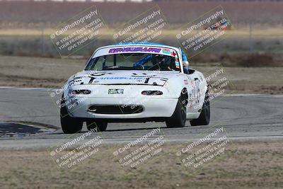 media/Feb-04-2023-Turn8 Trackdays (Sat) [[beeaee2017]]/Intermediate 1/Session 3 (Outside Grapevine)/